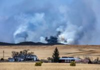 Gusty winds, dryness could fan spring US wildfires again