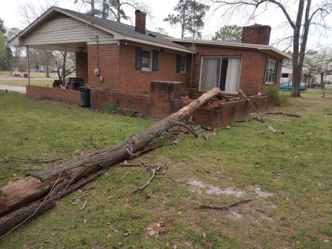 Tree falls on man's home in Tar Heel, NC