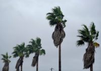Hurricane season 2022: Here's everything you'll need to be prepared in South Texas