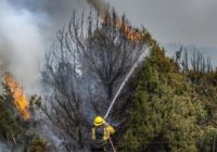 Unprecedented gusts expected to fan wildfires in New Mexico
