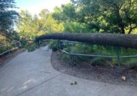 'Like hurricane-level damage': Thousands remain without power, cleanup to last days after severe weather