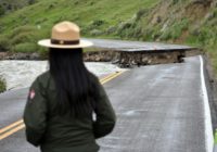 Crowds flock to Yellowstone as park reopens after floods
