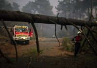 Intense heatwave triggers wildfires, travel disruptions in Europe