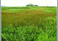 Hurricane Harvey reinforced the value of a pristine Katy Prairie. Development continues anyway.