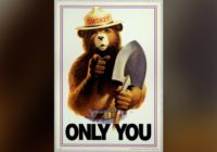 ‘Smokey Bear’ celebrates 78th birthday as NC wildfire situation remains mostly under control