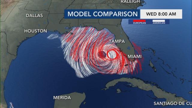 Model comparison for Hurricane Ian