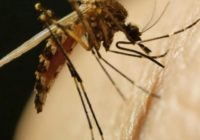 A rain pours in from Hurricane Ian, a death from mosquito-borne West Nile virus