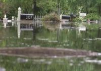 Fewer buildings, more vegetation along 'notorious' Crabtree Creek should limit flooding in the future