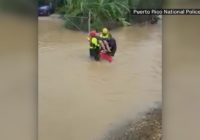 Scam alert: How to help hurricane victims without getting ripped off