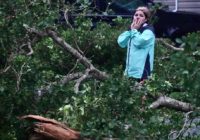 Hurricane Ian leaves trail of devastation through Florida