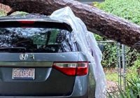 Storm damage: Ian causes flooding, brings down trees across the Carolinas