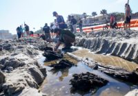 Beach erosion brought by hurricanes Ian, Nicole uncovers wooden ship from 1800s