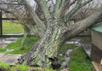 LIVE UPDATES: Strong weather system brings tornado, heavy rain SE Texas