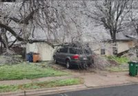 A total of $12M in storm damage reported in Williamson County, burn boxes suggested to deal with fallen limbs