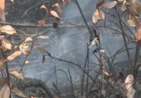 Drivers may see, smell wildfire smoke in northeastern NC