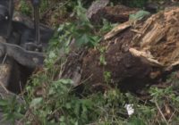City of Austin crews preparing storm drains for potential flooding