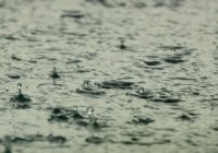 Floods imperil cattle, cotton in the Panhandle Floods imperil cattle, cotton in the Panhandle