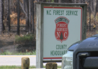 Benefits emerge from the Green Swamp wildfire