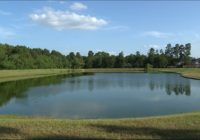 'Just utter smell of decay' | Sewage floods community pond in Magnolia, killing dozens of wildlife