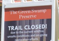 Nature Conservancy gives tour of Green Swamp Preserve after wildfire