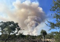 State Wildfire Preparedness Level Raised To Level 4