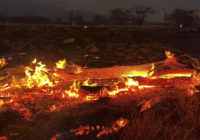 Track wildfires across Hawaii with this interactive map