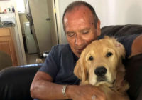Maui wildfire victims include man found shielding beloved pet dog, local know as 'Uncle Joe'
