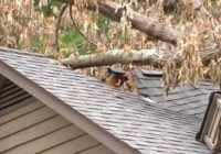 Still reeling from recent storm damage, some in Triangle brace for Hurricane Idalia