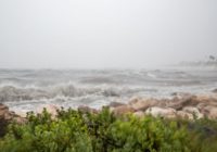 Tropical Storm Harold brings wind and rain to the Coastal Bend