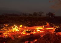 Hawaii’s governor warns that scores more people could be found dead following wildfires on Maui