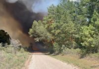 How the Texas A&M Forest Service manages wildfire response efforts across the state How the Texas A&M Forest Service manages wildfire response efforts across the state