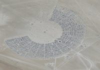 Thousands at Burning Man told to conserve water, food after flooding leaves them confined in desert