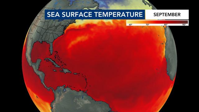 Sea Surface Temperatures
