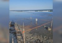 Holden Beach announces loss of several turtle nests following Tropical Storm Idalia