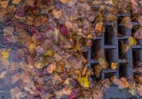 Ways to prevent street flooding from falling leaves