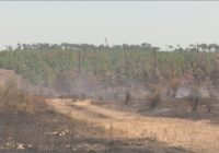 Austin Energy launching early wildfire detection program powered by artificial intelligence