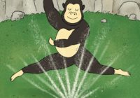 Strangest State: Alligators, Tigers & Hailstorms, Oh My!