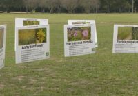 What's being done to protect the Houston area from future flooding