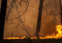 NC Gov. Roy Cooper declares state of emergency as wildfires burn in mountains
