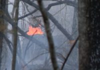 Wildfire in Western NC: Burn ban, state of emergency in effect, 2 homes destroyed so far