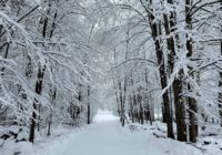 Snowfall, rain, gusty winds hit Northeast as Tennessee recovers from deadly tornadoes