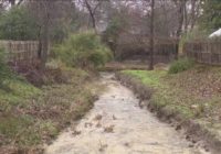 Widespread rain leaves North Austin residents on high alert with flooding concerns