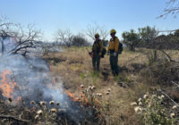 After nearly 7,000 wildfires in Texas last year, a wet winter could reduce the risk in 2024