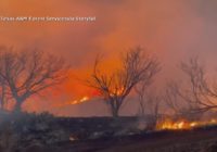 'There was no way out' | Second largest wildfire in Texas history prompts evacuations; HFD sends help