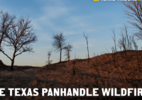 Watch: What the Texas wildfires mean to the Panhandle region