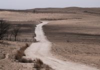 Texas legislative committee to investigate cause of Panhandle wildfires