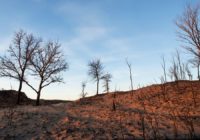 Texas Panhandle wildfires: What you need to know about the blazes, damage and recovery Texas Panhandle wildfires: What you need to know about the blazes, damage and recovery