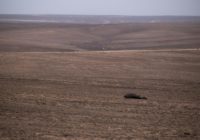 “It does not get easier”: Texas ranchers lose cattle and land in historic wildfires