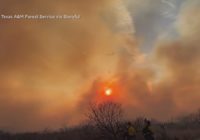 Houston firefighter returns home after helping battle largest wildfire in Texas history