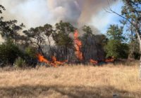 With Texas' largest ever wildfire already blazing, Central Texas slated to see a heavy fire season, according to officials